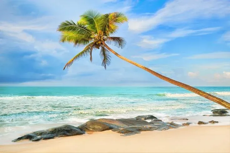 200+ Hình Ảnh Biển Tuyệt Đẹp Cho Thiết Kế Và Trang Trí · ảnh 2
